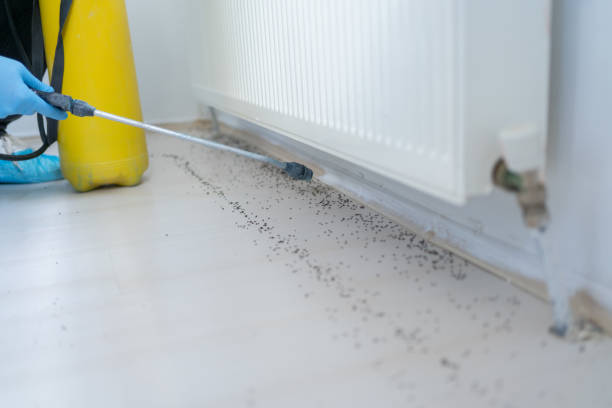 Best Pest Prevention Services  in Gardnerville Ranchos, NV