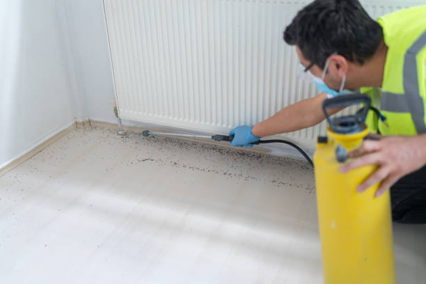 Best Emergency Pest Control  in Gardnerville Ranchos, NV