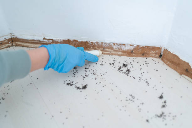 Best Pest Inspection Near Me  in Gardnerville Ranchos, NV