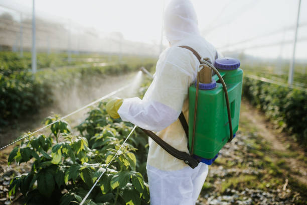 Best Affordable Pest Control Services  in Gardnerville Ranchos, NV